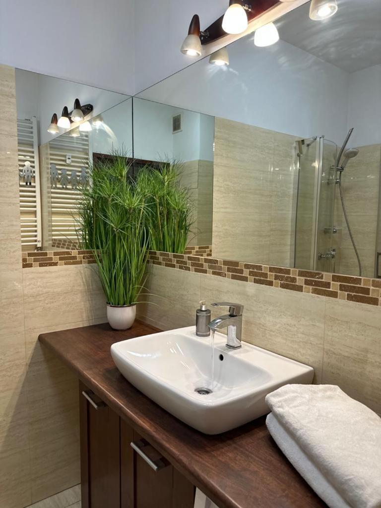 פוזנן Apartament Przy Rynku מראה חיצוני תמונה