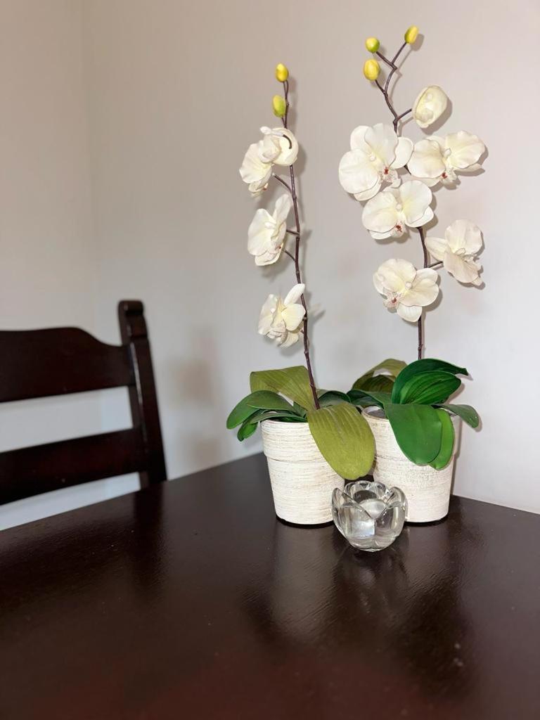 פוזנן Apartament Przy Rynku מראה חיצוני תמונה