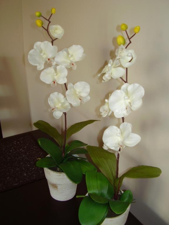 פוזנן Apartament Przy Rynku חדר תמונה